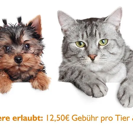 Deutsches Haus Mittweida