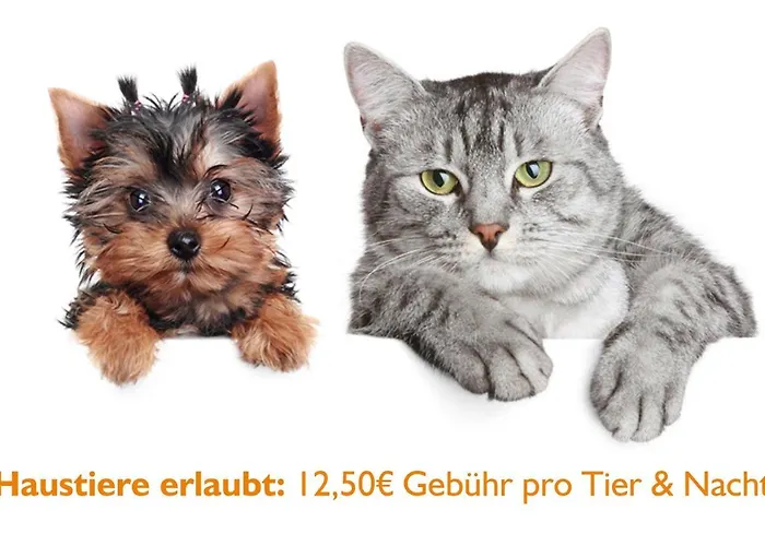 Deutsches Haus Митвайда